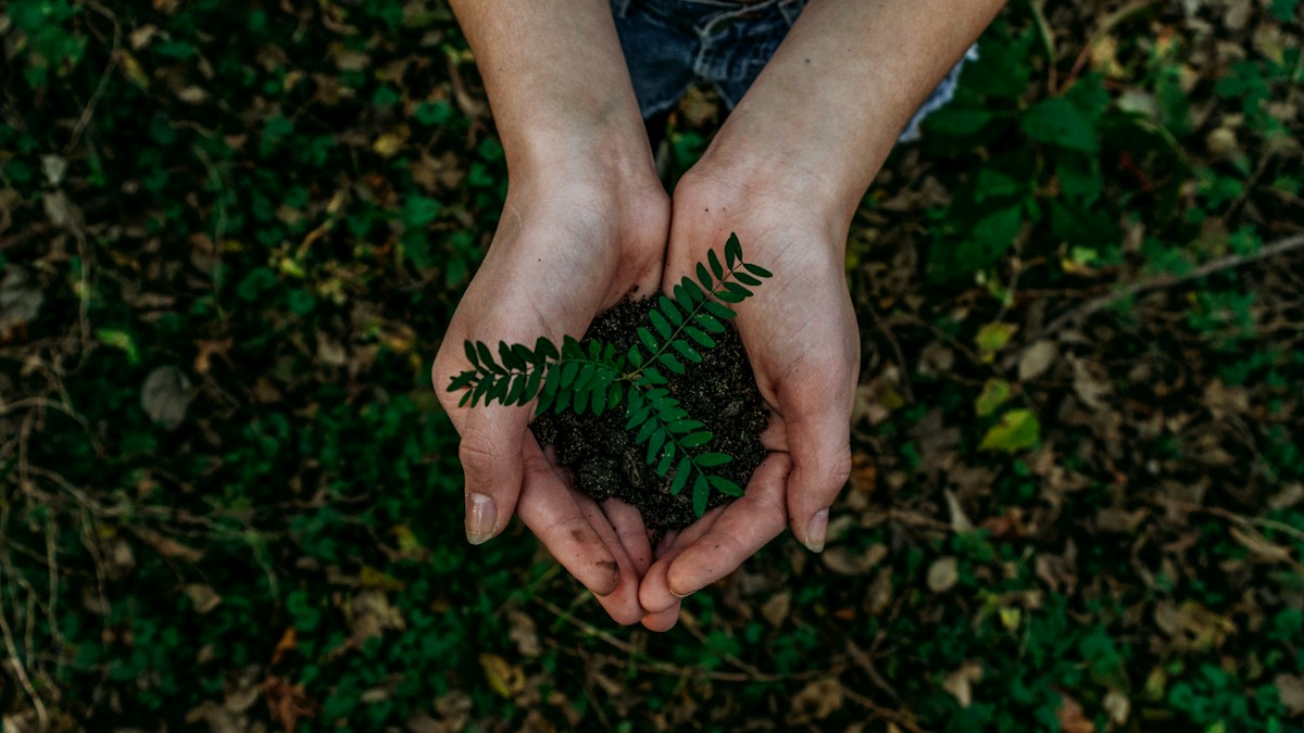 Sustainable Logistics Practices: Reshaping the Modern Supply Chain | County Cargo